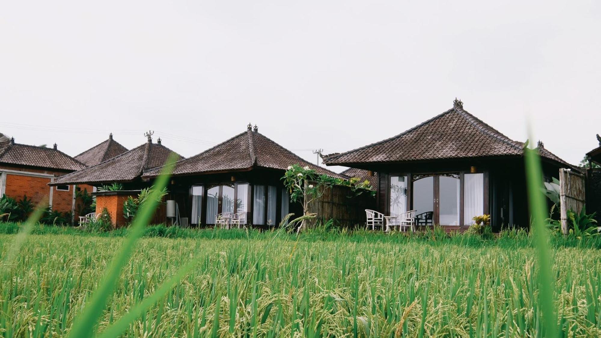 Kayangan Villa Ubud Tegallalang  Buitenkant foto