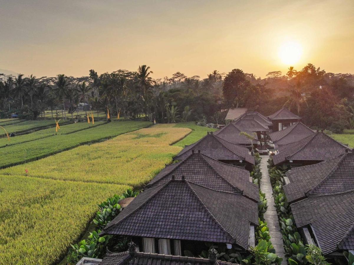Kayangan Villa Ubud Tegallalang  Buitenkant foto